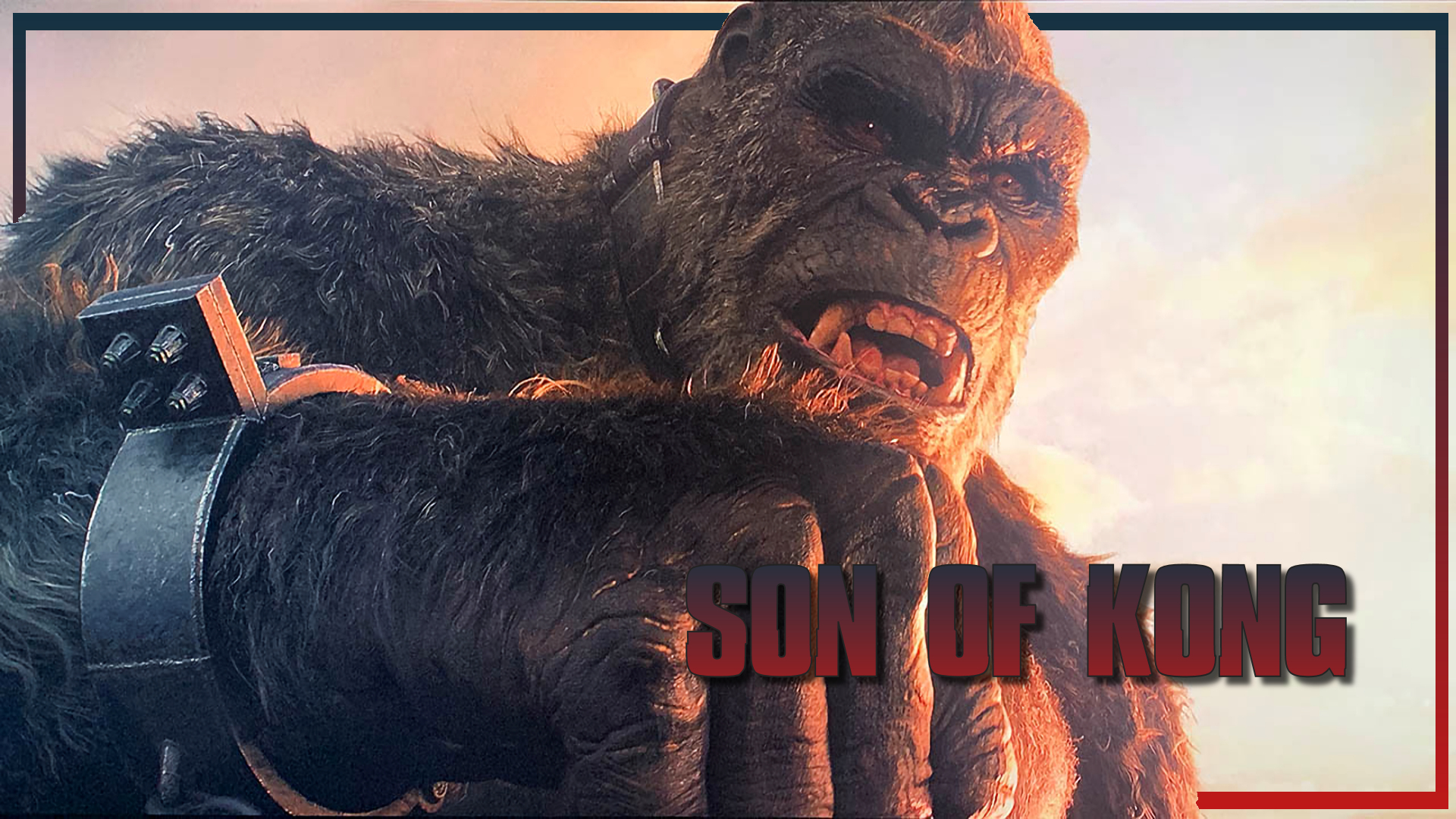 Son Of Kong To Be The Next Monsterverse Film? Future of the Force