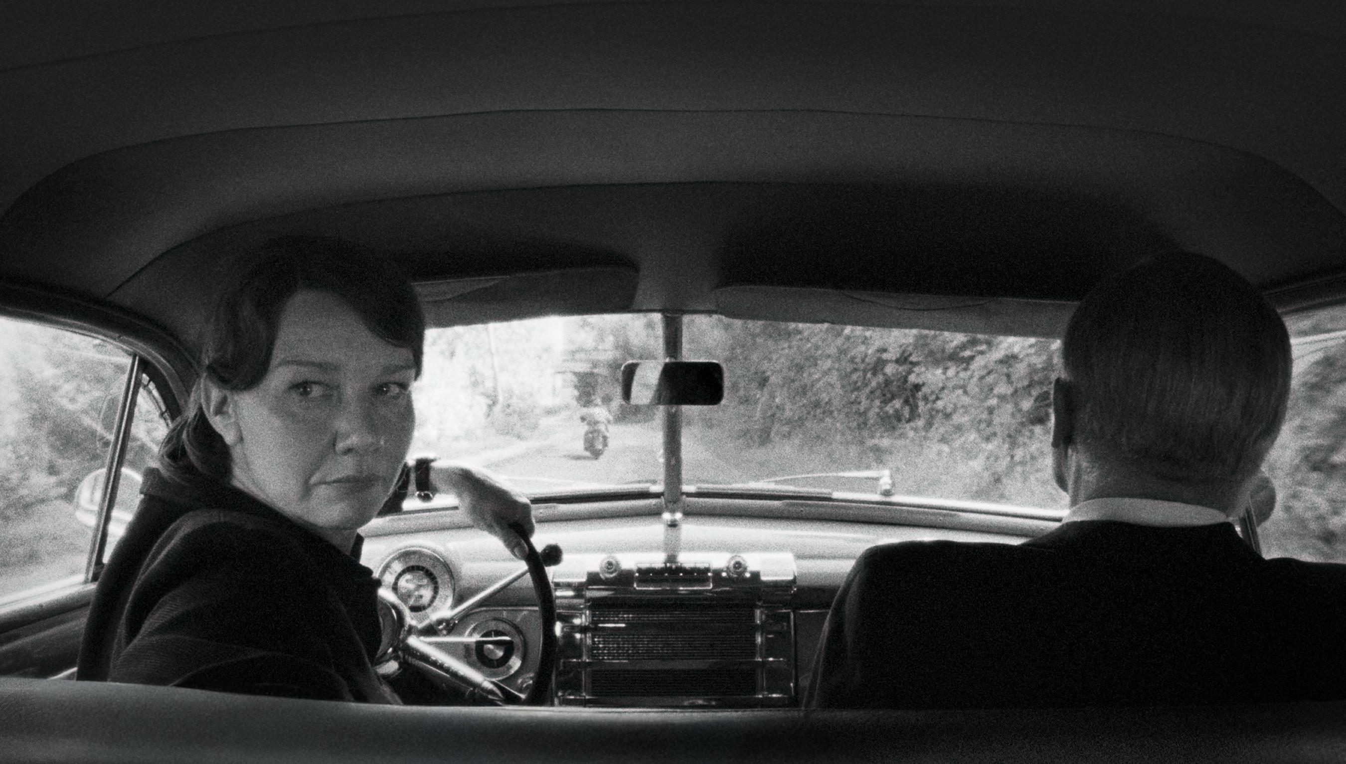 Fatherland: A Journey Through Cold War Tensions