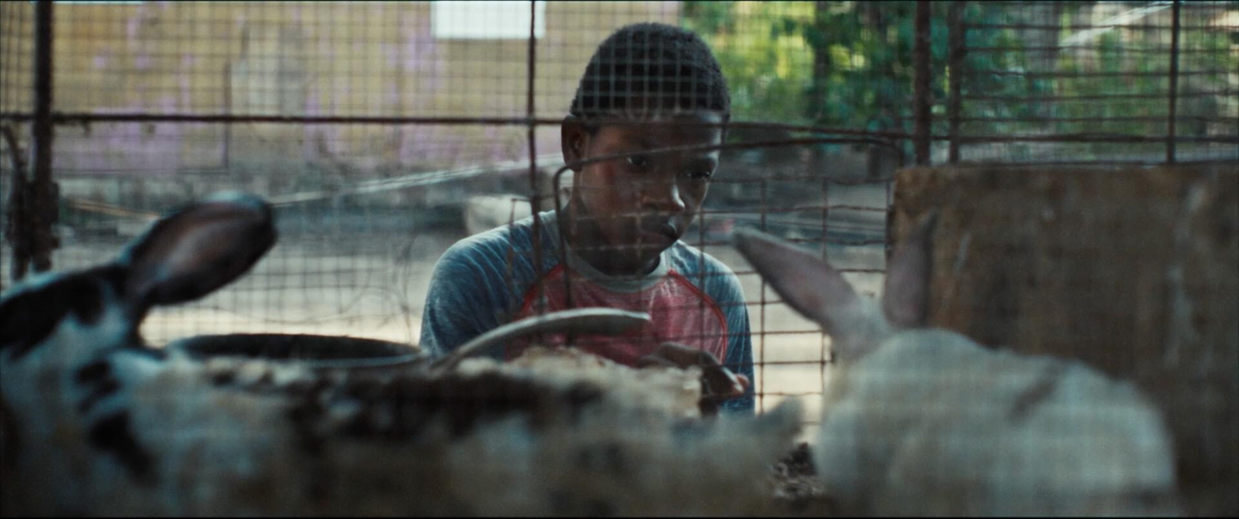 FarEye Brings a Powerful Caribbean Story of Spiritual Awakening and Resilience to the BFI London Film Festival